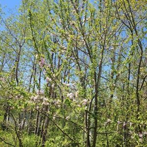 Meet your Posher, Evan